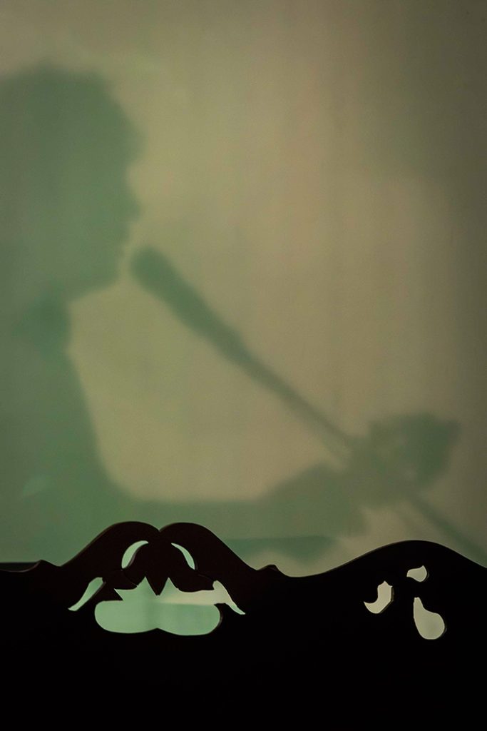 Concerten foto's van fotograaf Geert de Groot